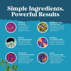 Nootropic Brain Supplement for Memory and Focus Support