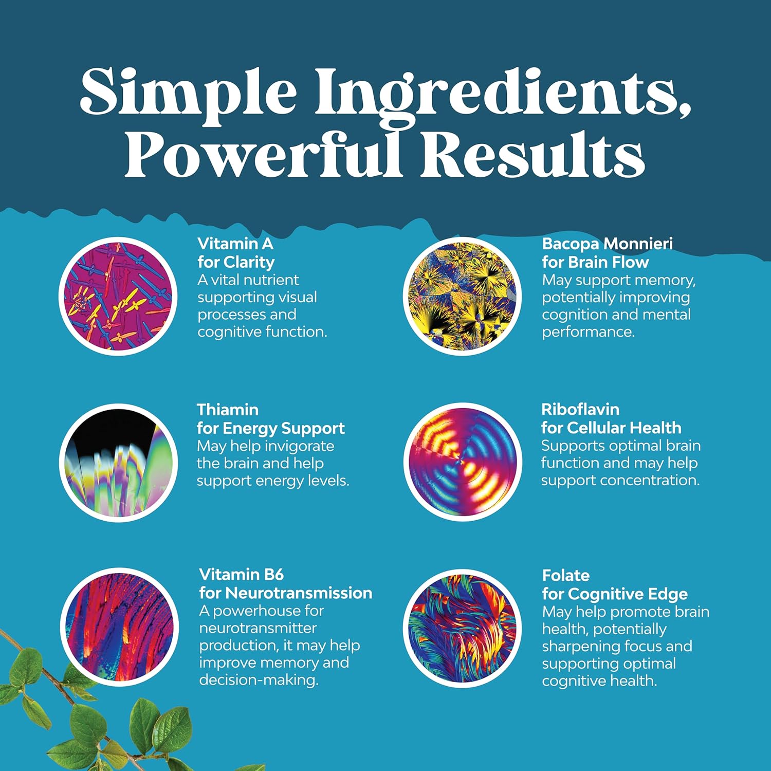 Nootropic Brain Supplement for Memory and Focus Support